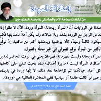 نصائح للمتزوجين حديثا (انطلاقة المودة)
